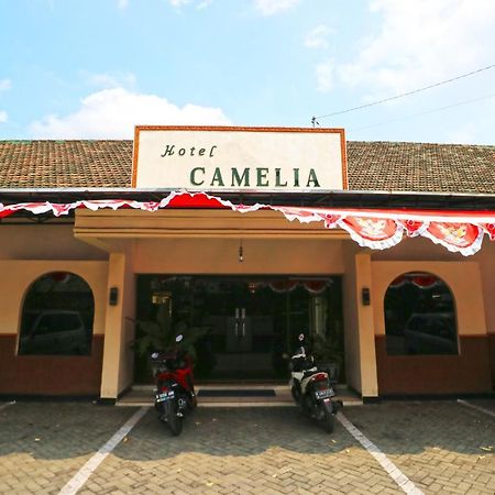 מאלאנג Hotel Camelia מראה חיצוני תמונה
