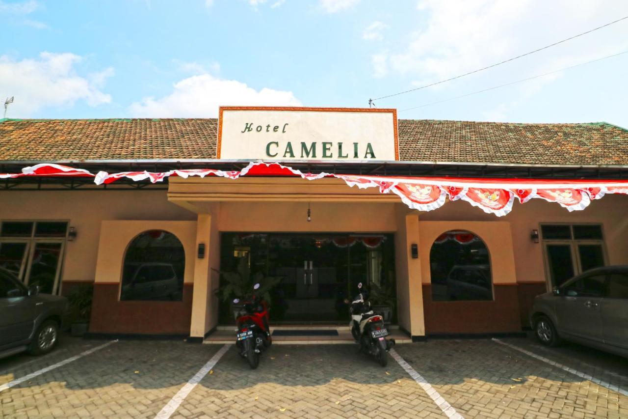 מאלאנג Hotel Camelia מראה חיצוני תמונה